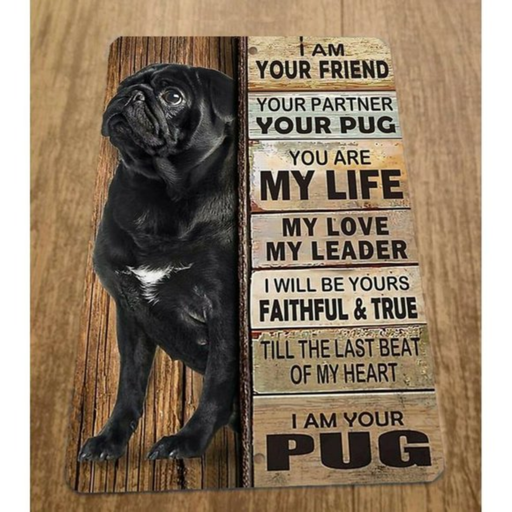 I am Your Pug Dog Friend‎ 8x12 Metal Wall Animal Sign